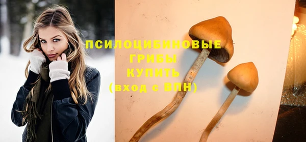 стаф Михайловка