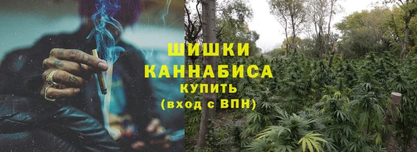 спайс Михайлов