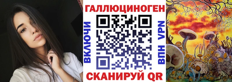 Галлюциногенные грибы Psilocybe  Шатура 
